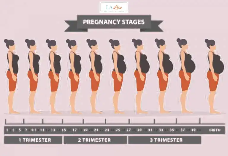 First Trimester (Weeks 1–12): Early Changes You Might Not Notice Southall